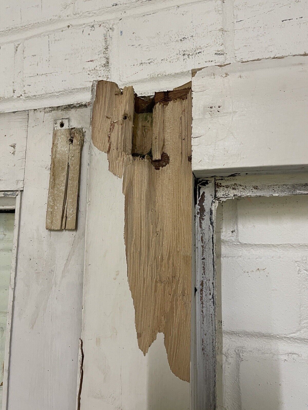 Reclaimed Old French Double Glazed Wooden Double Doors With Spare SIDE PANELS