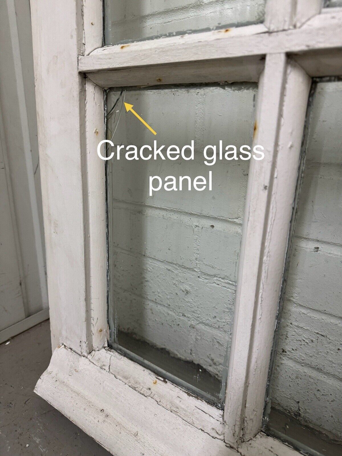 44306647