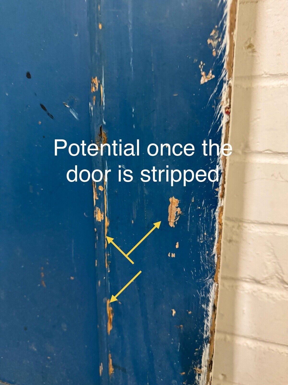 44265835