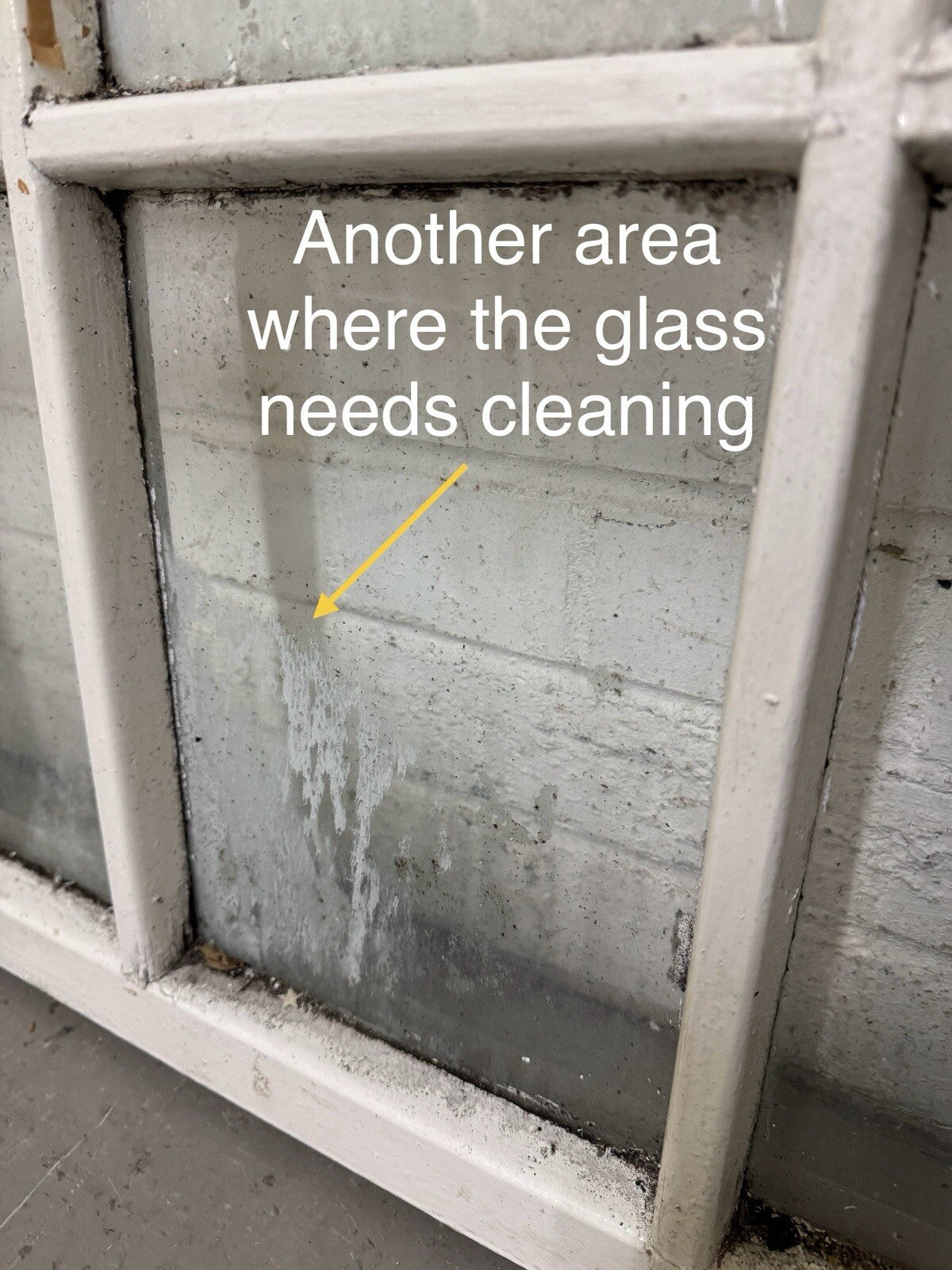 44787419