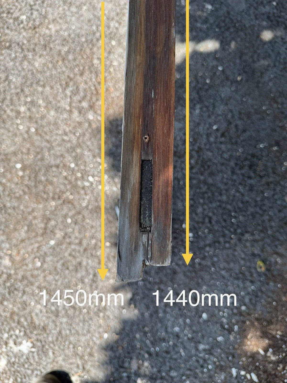 45330541