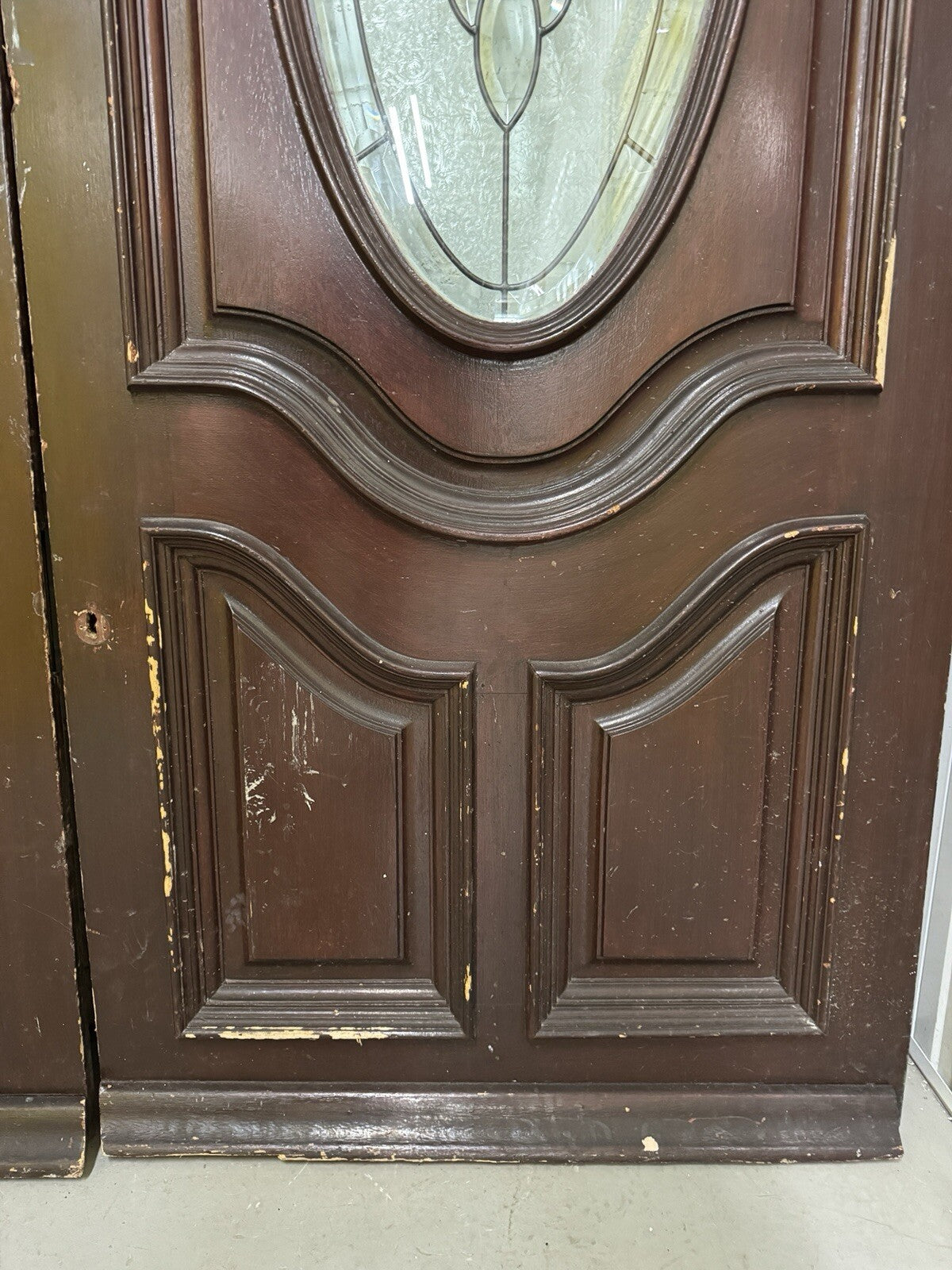 44568262