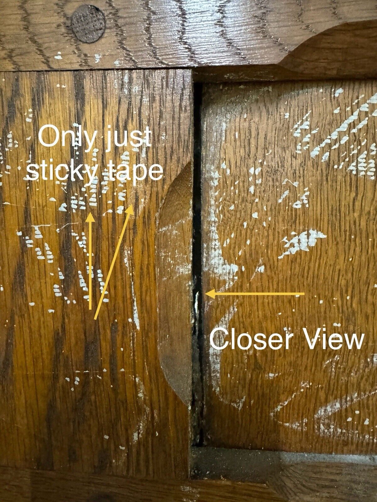 44265834