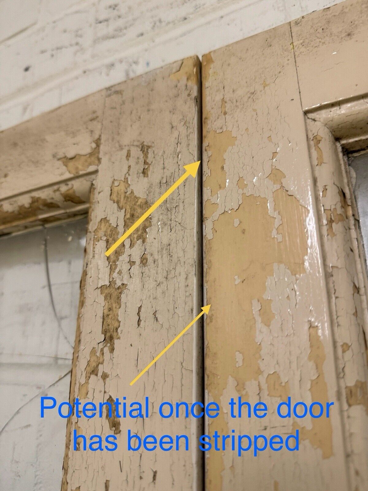 44049377