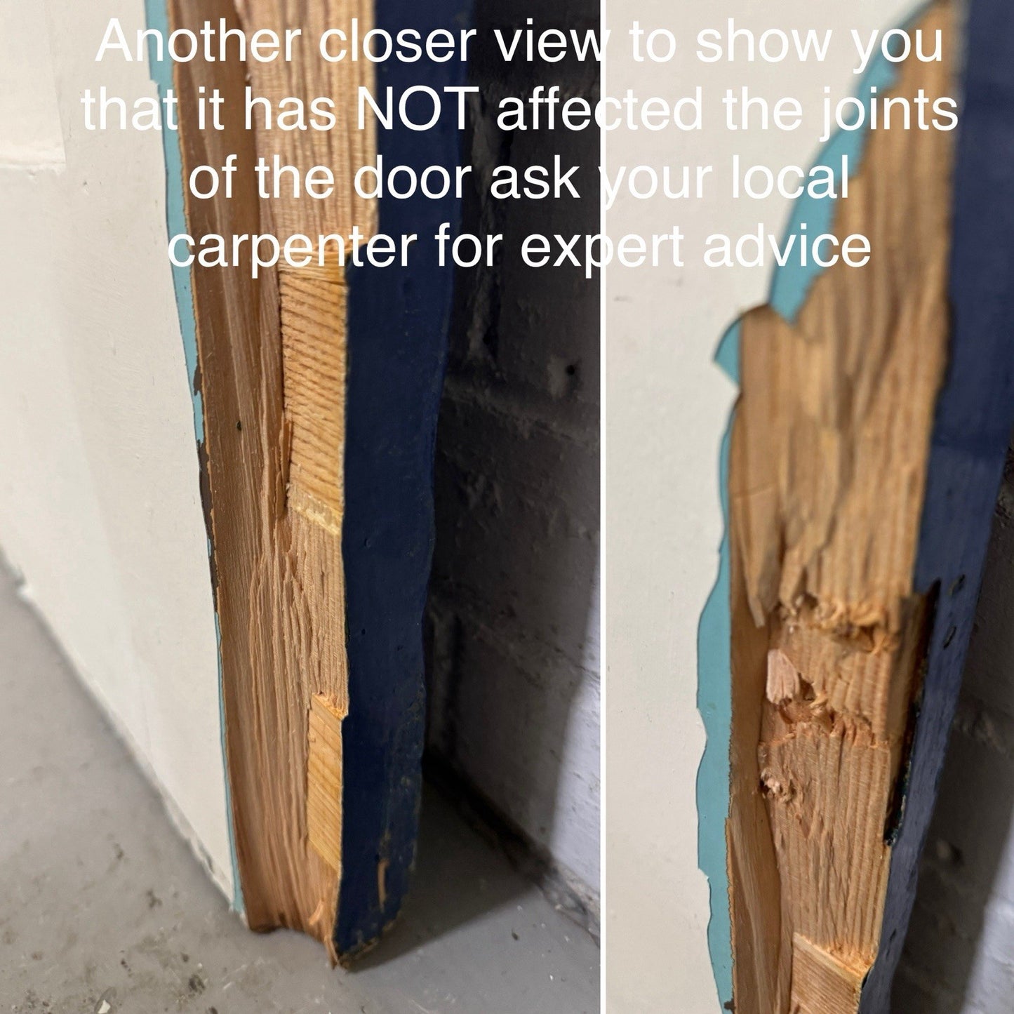 47189556