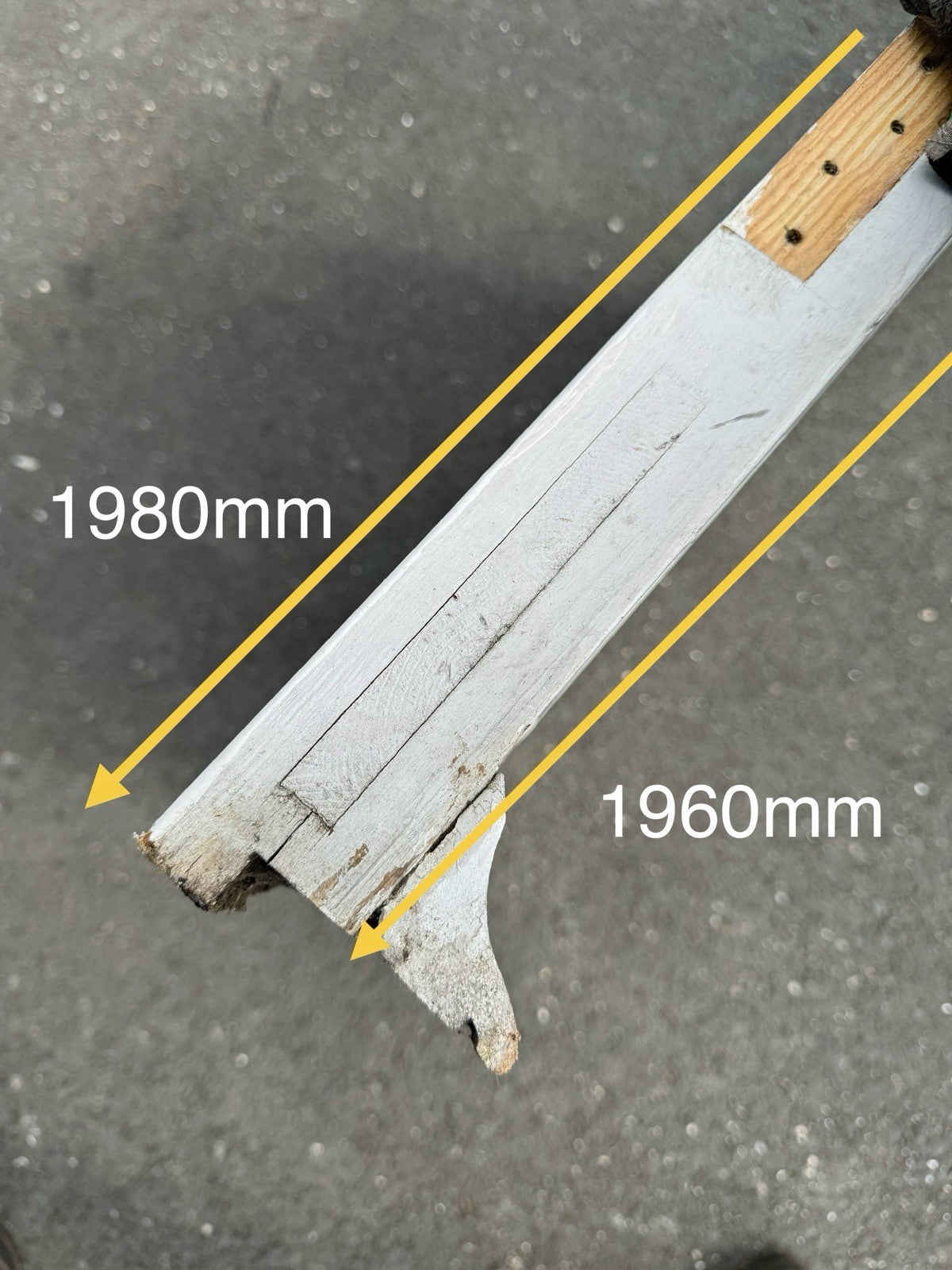 45553286