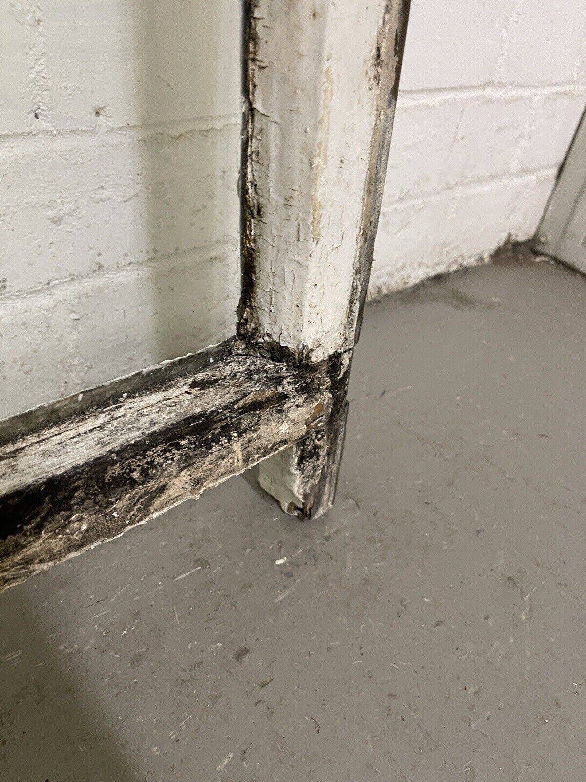 Pair Reclaimed Old Victorian Edwardian Arch Panel Wooden Sash Window 1140 x 935