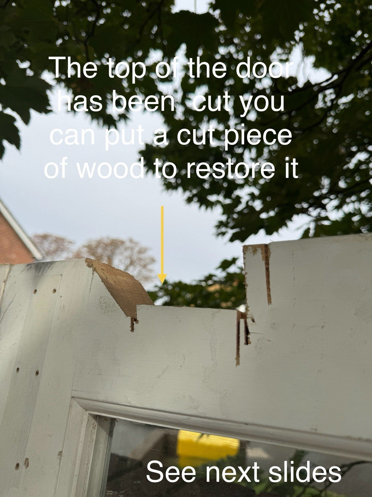 45928871