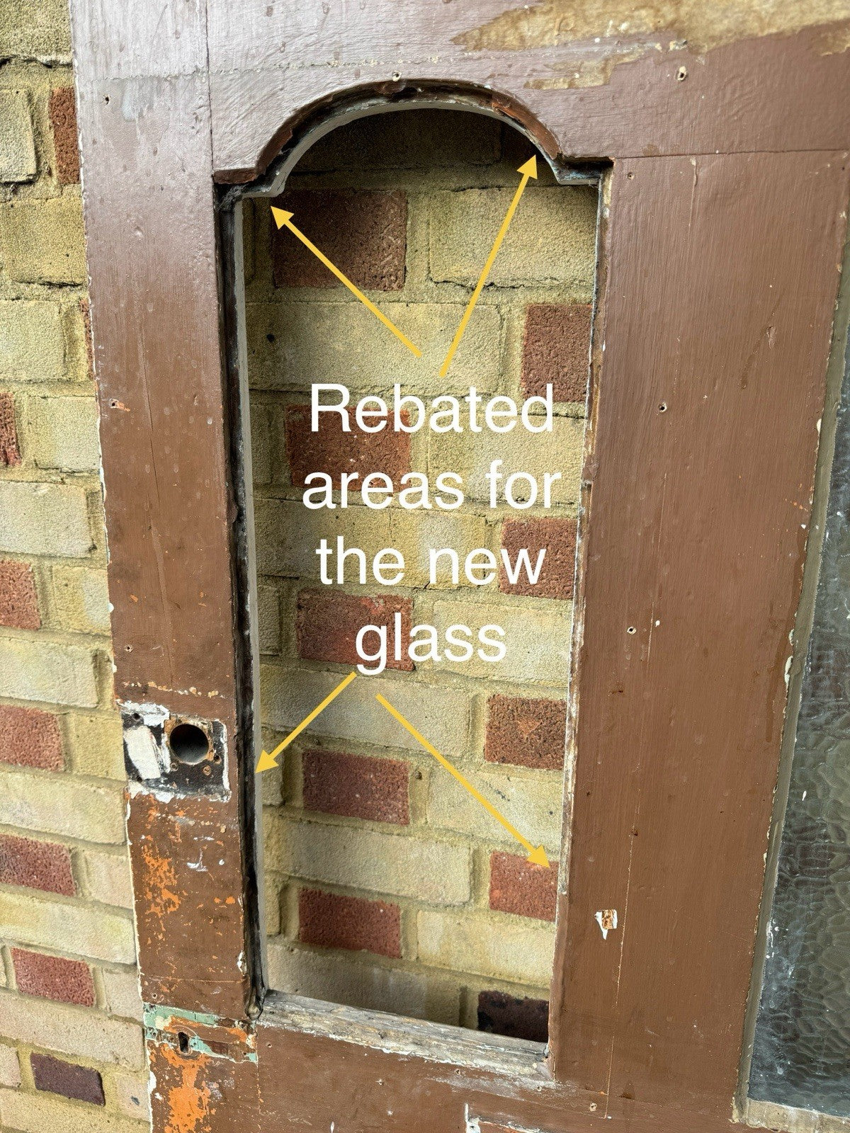 45666371