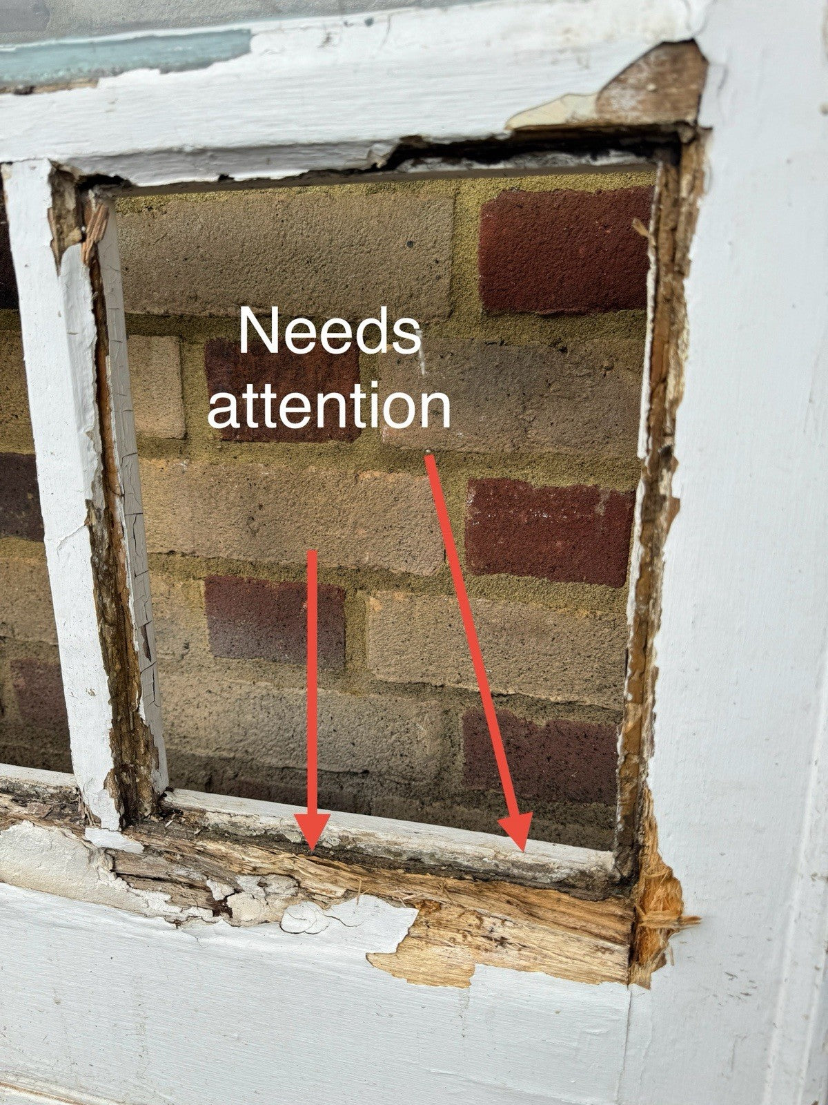 45334081