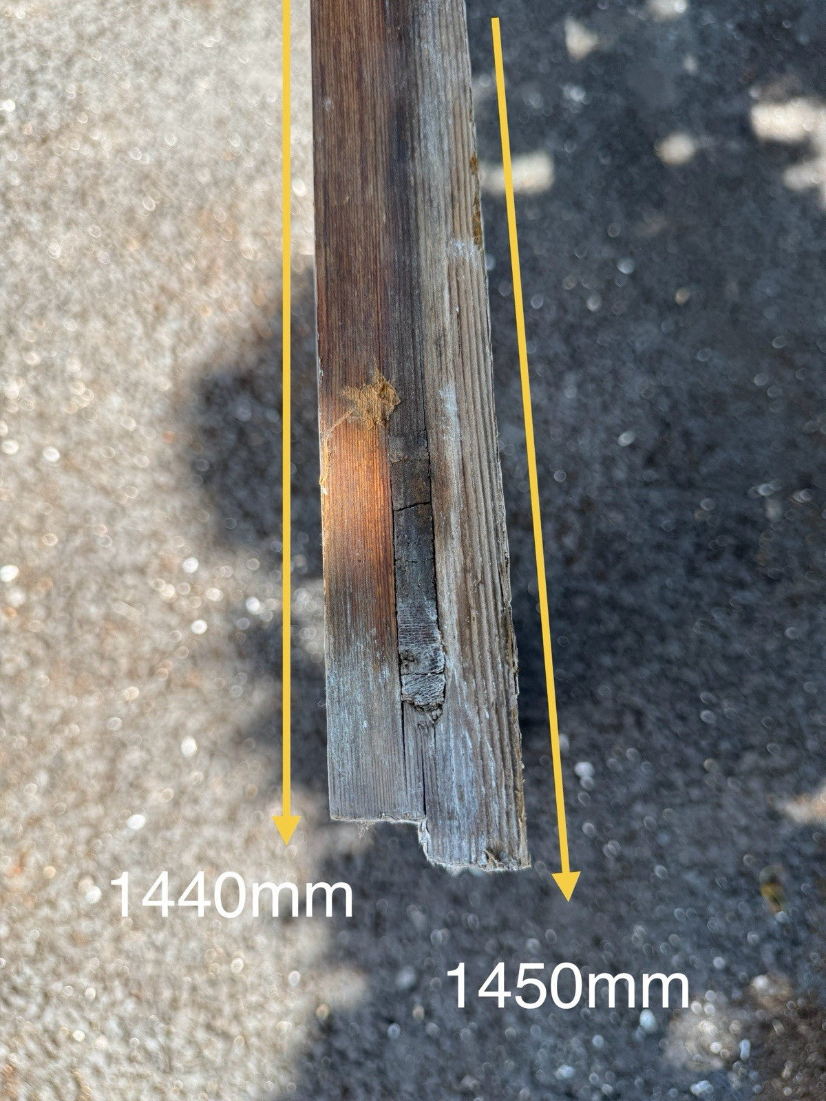 45330245