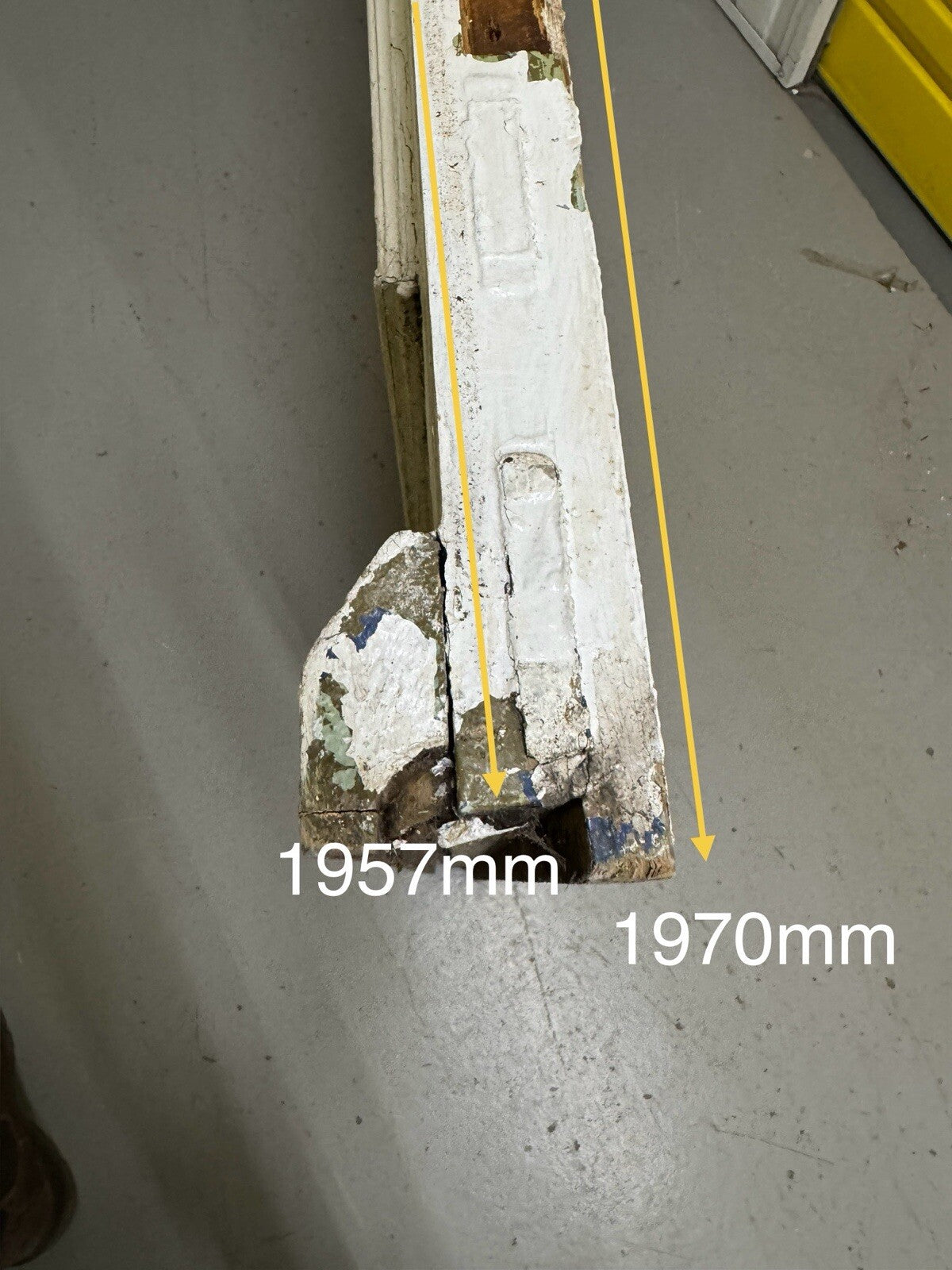 45005409