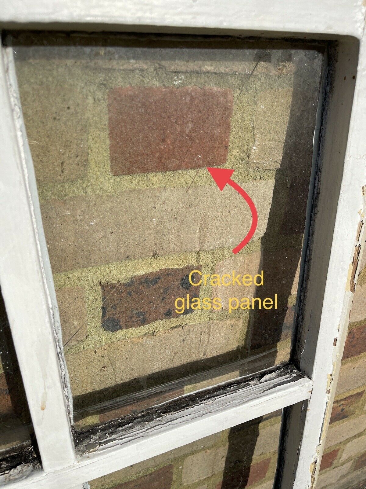 Modern Georgian 6 Panel Wooden Window 563 x 1052mm