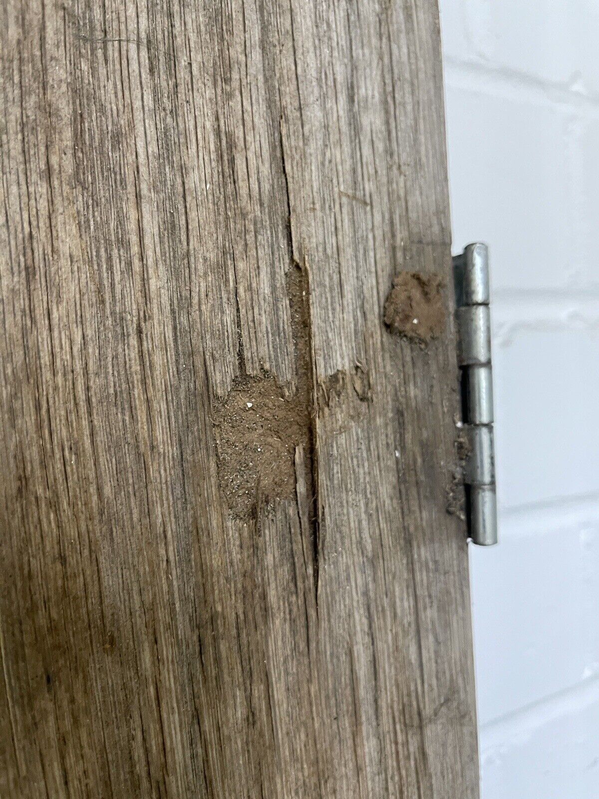 Pair Of Reclaimed Edwardian Wooden Panel External Doors 1870 x 743 1915 x 765mm