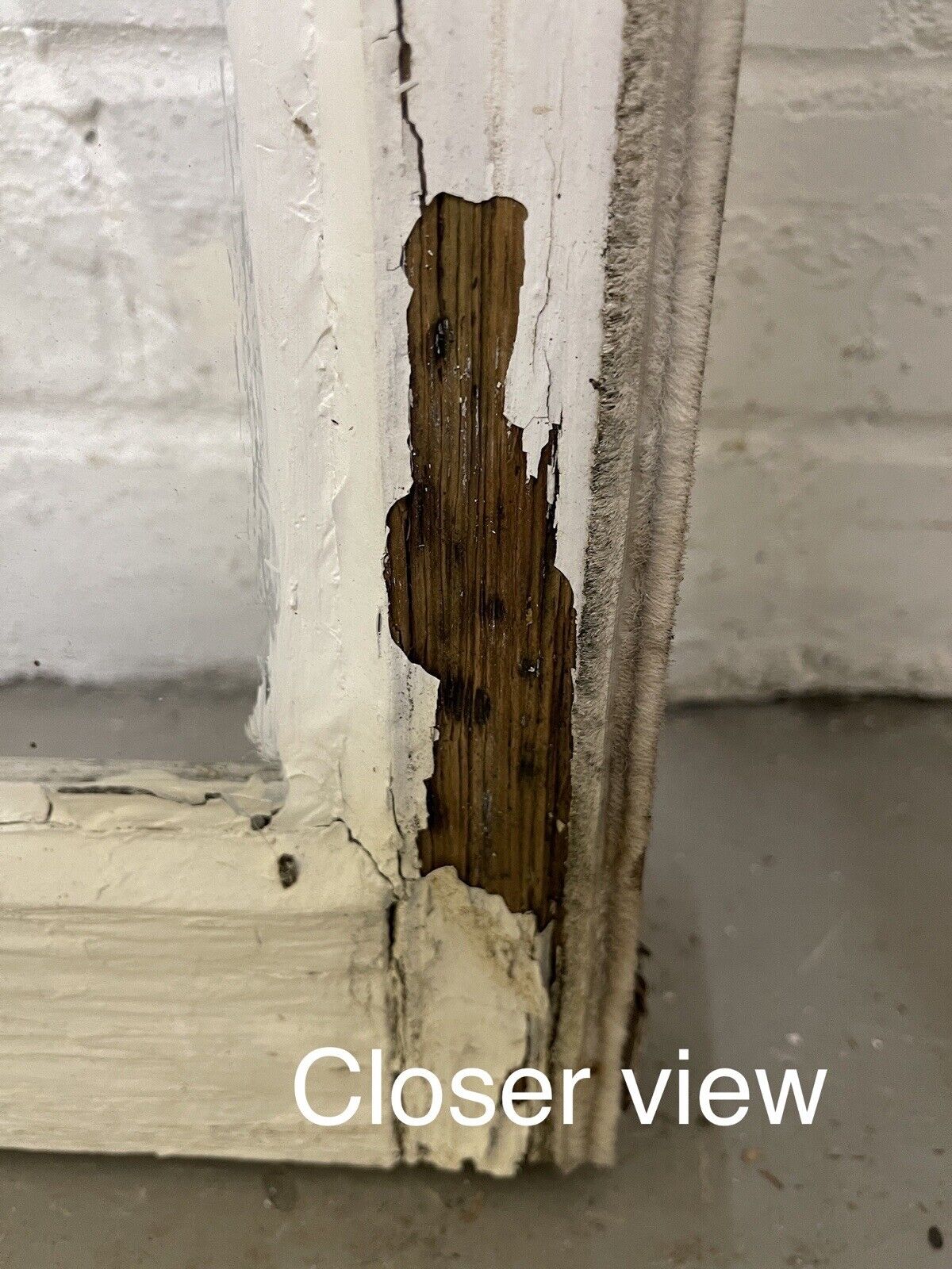 Reclaimed Old Georgian 8 Panel Wooden Window 968 x 610mm