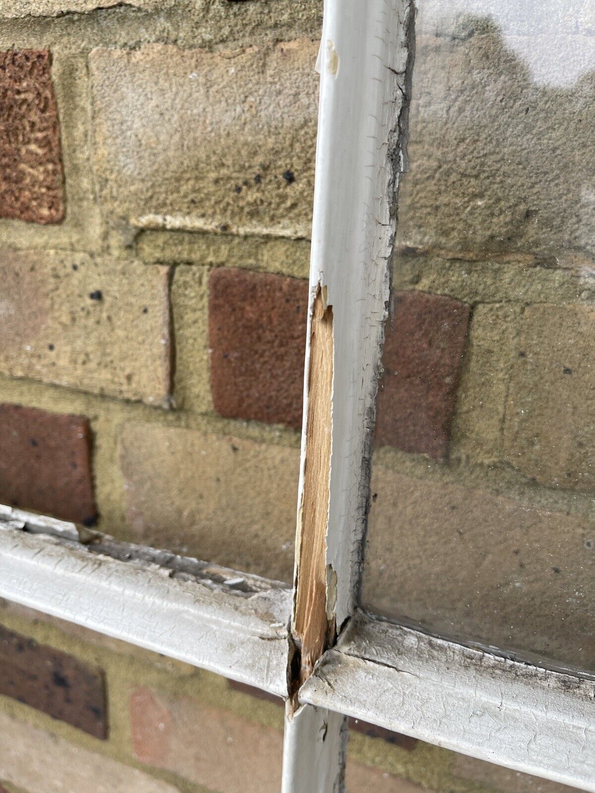 Large Reclaimed Old Georgian 9 Panel Wooden Window 1540 1525 x 1040mm