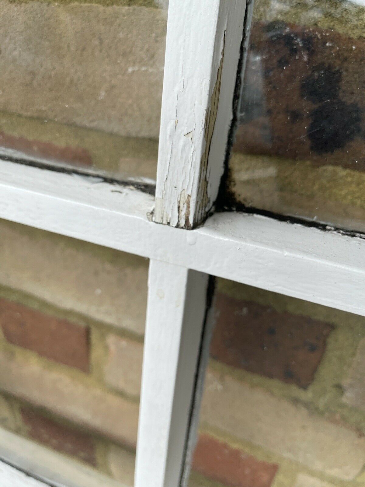 Modern Georgian 8 Panel Wooden Window 1110 x 555mm