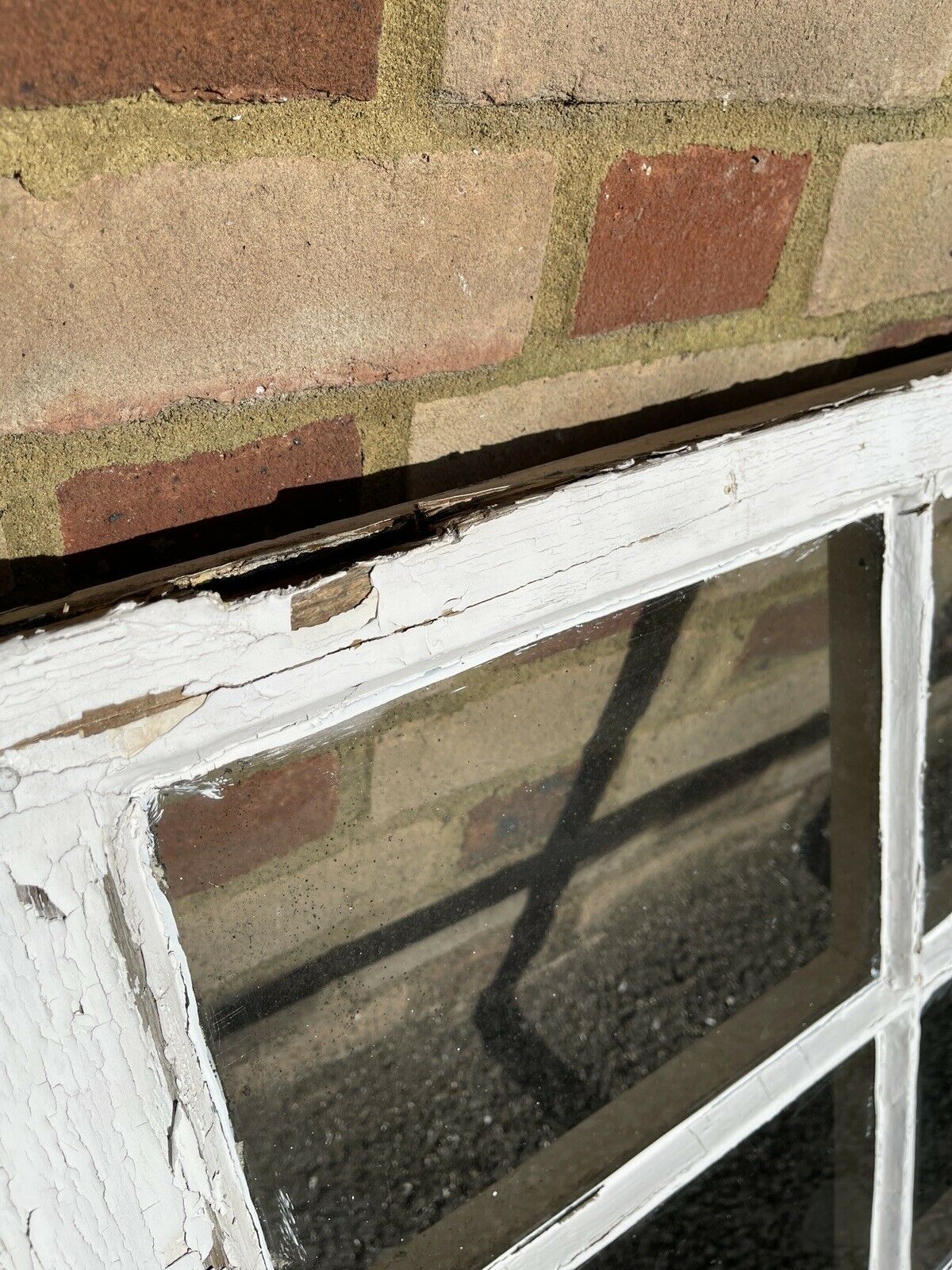 Modern Georgian 6 Panel Wooden Window 563 x 1052mm