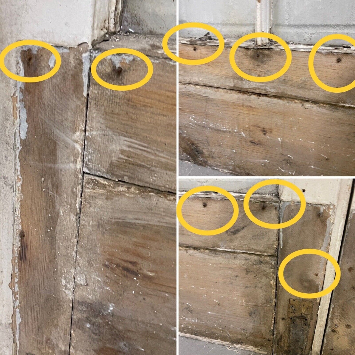 Reclaimed Georgian French Single Panel Glass Wooden Double Doors 2130 x 1210mm