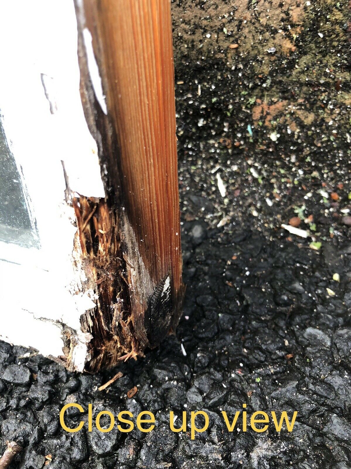 Reclaimed Old Arch Double Glazed Wooden Window CRACKED GLASS