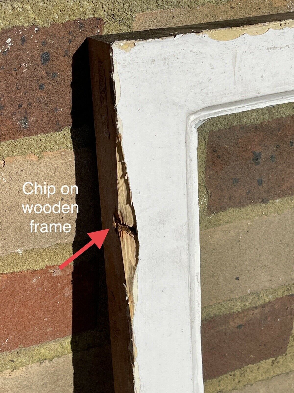 Modern Georgian 4 Panel Wooden Window 563 x 743mm