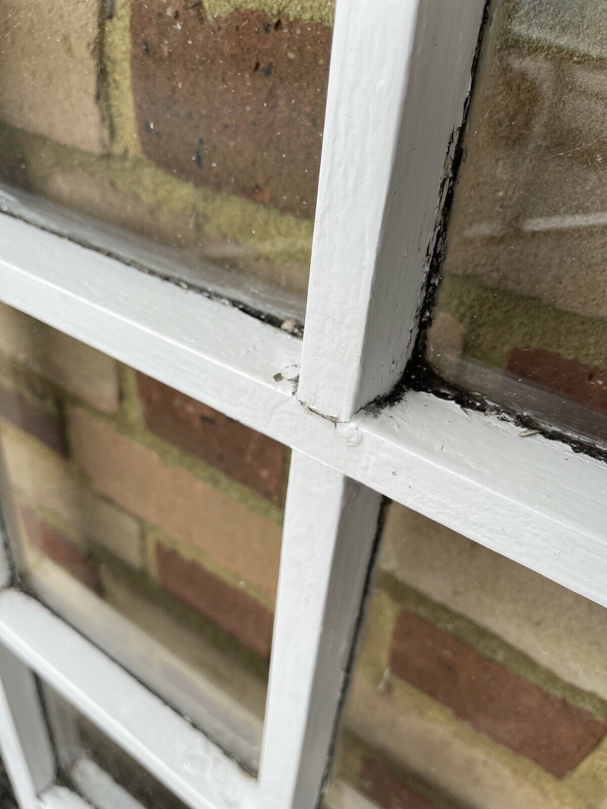 Modern Georgian 8 Panel Wooden Window 1110 x 555mm