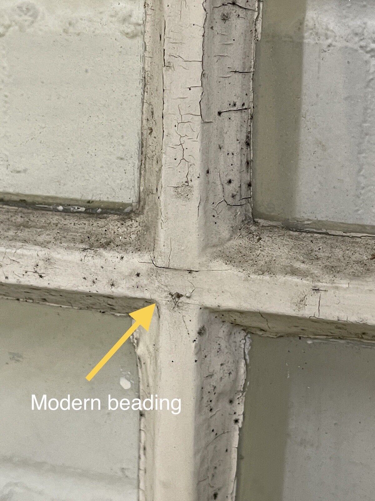 Modern Georgian 8 Panel Wooden Window 565 x 1293mm