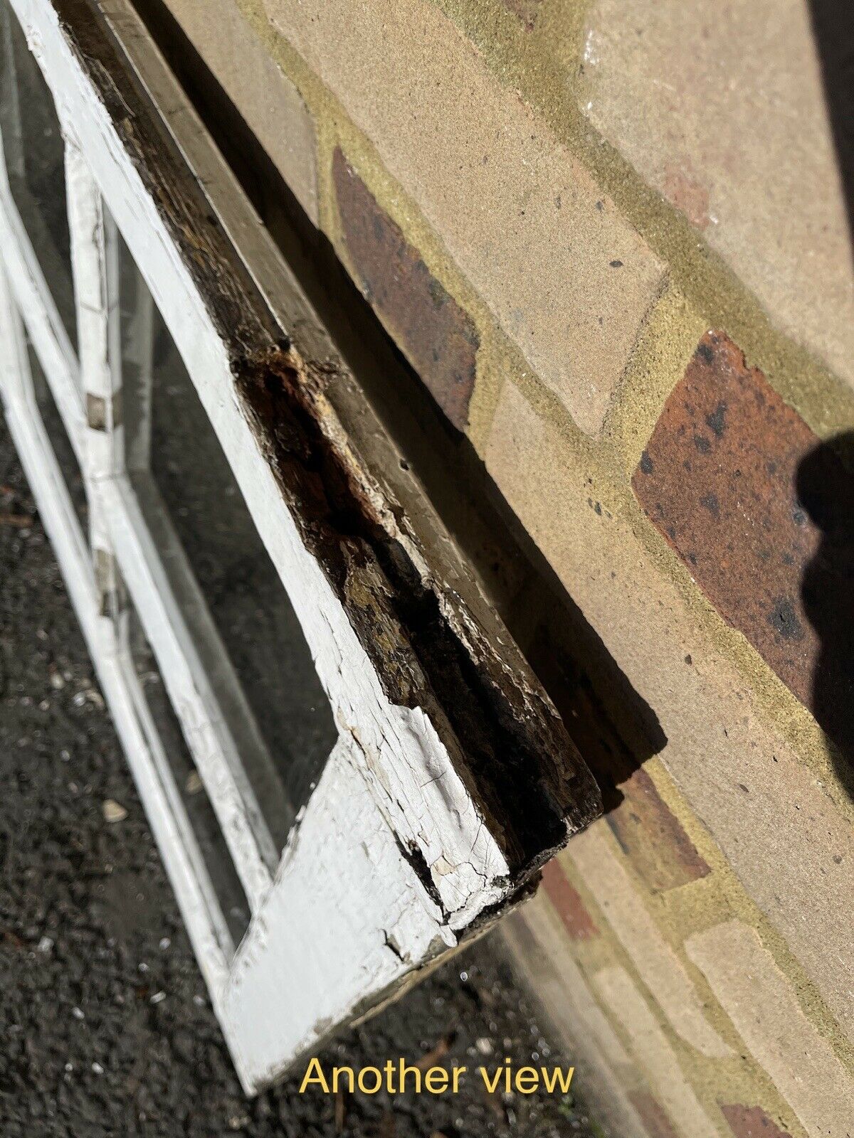 Modern Georgian 6 Panel Wooden Window 563 x 1052mm