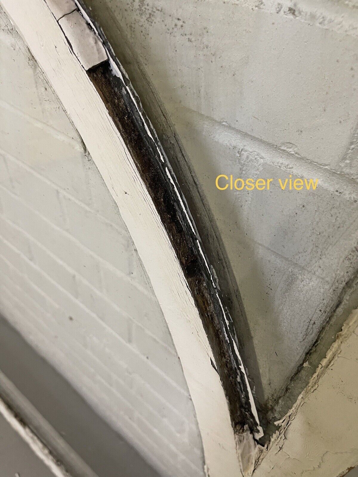 Reclaimed Old Edwardian Arch Wooden Sash Window 1255 x 1080mm