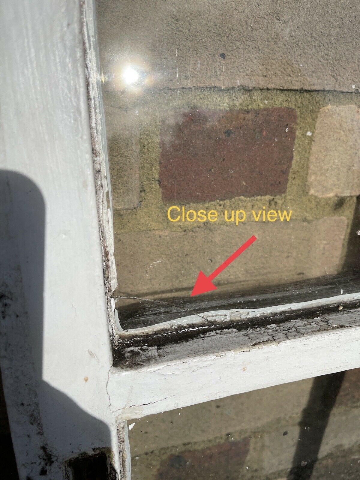 Modern Georgian 4 Panel Wooden Window 563 x 743mm