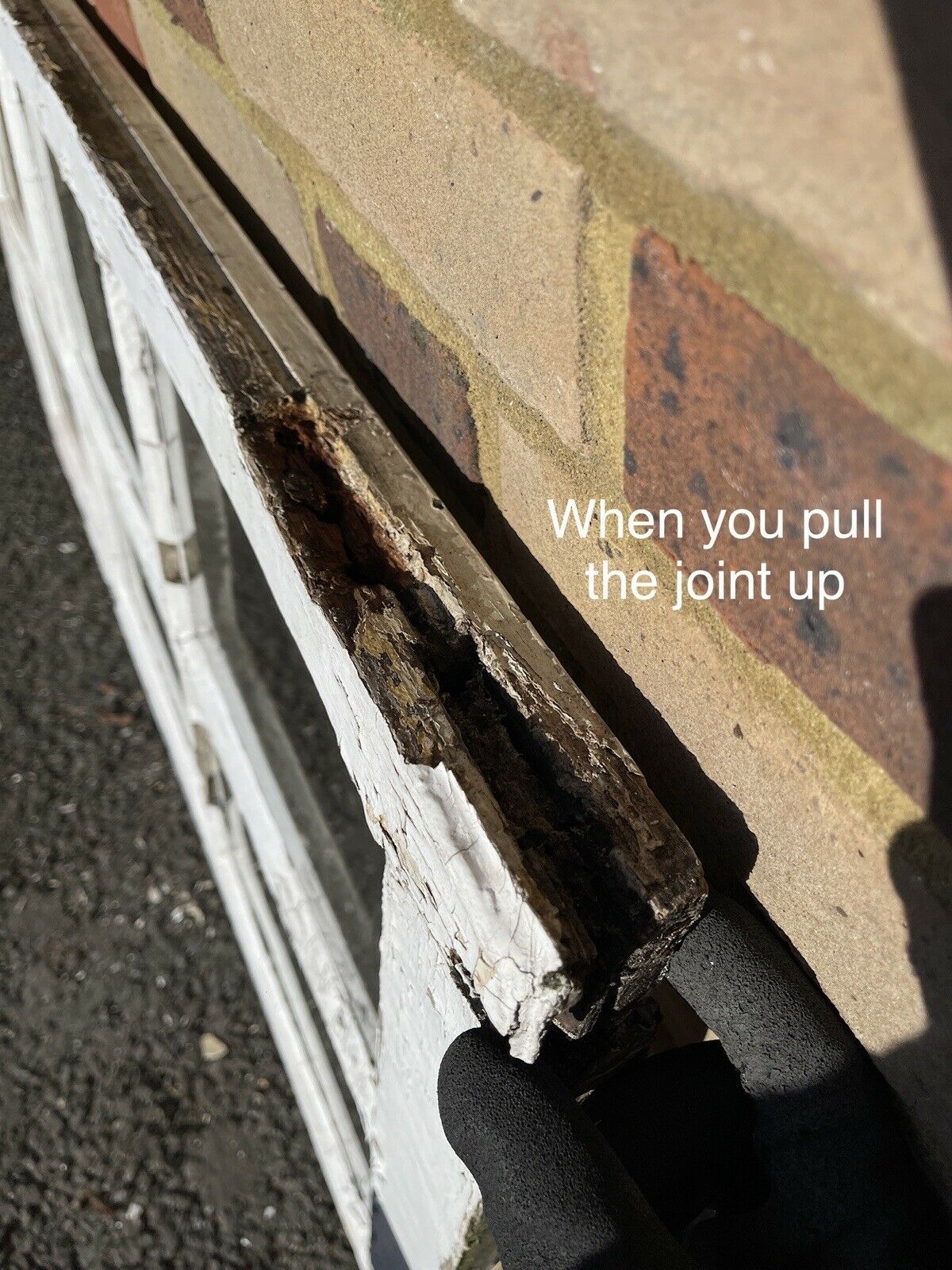 Modern Georgian 6 Panel Wooden Window 563 x 1052mm