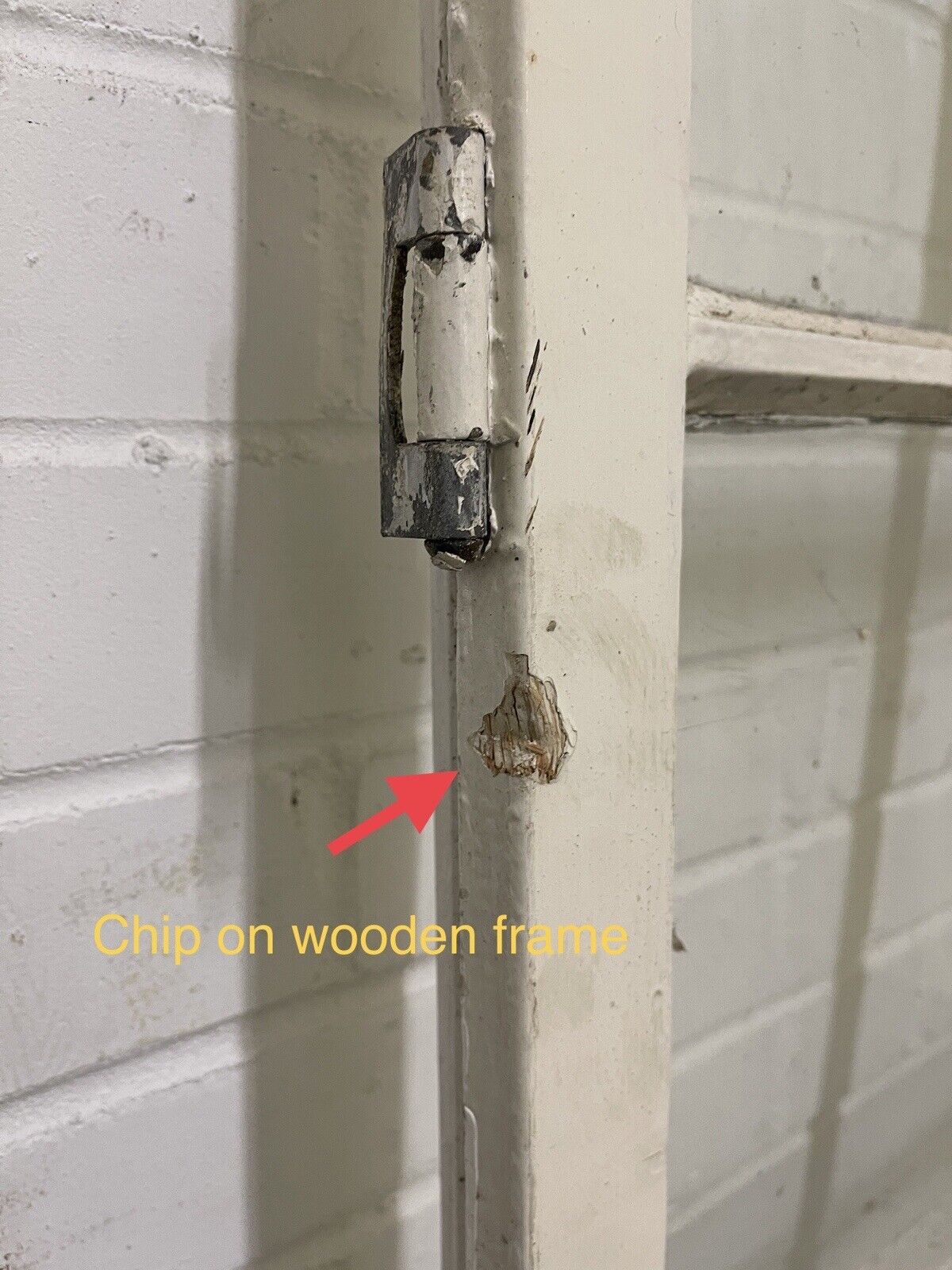 Modern Georgian 8 Panel Wooden Window 565 x 1290mm