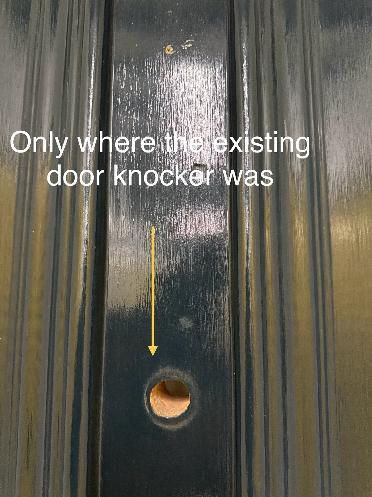 44990404