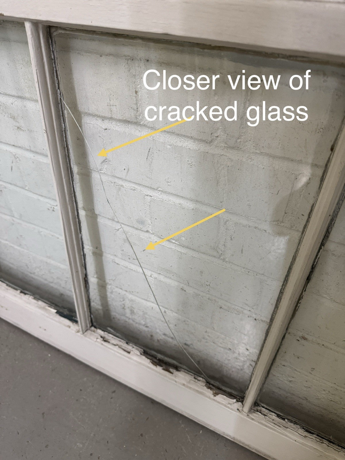 47787950