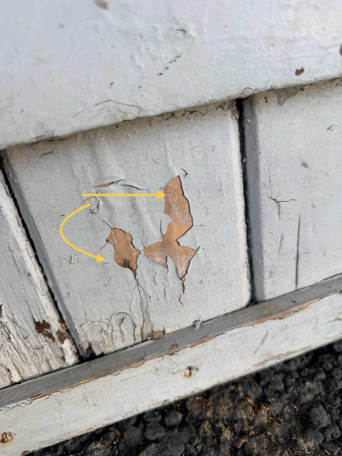 47743181