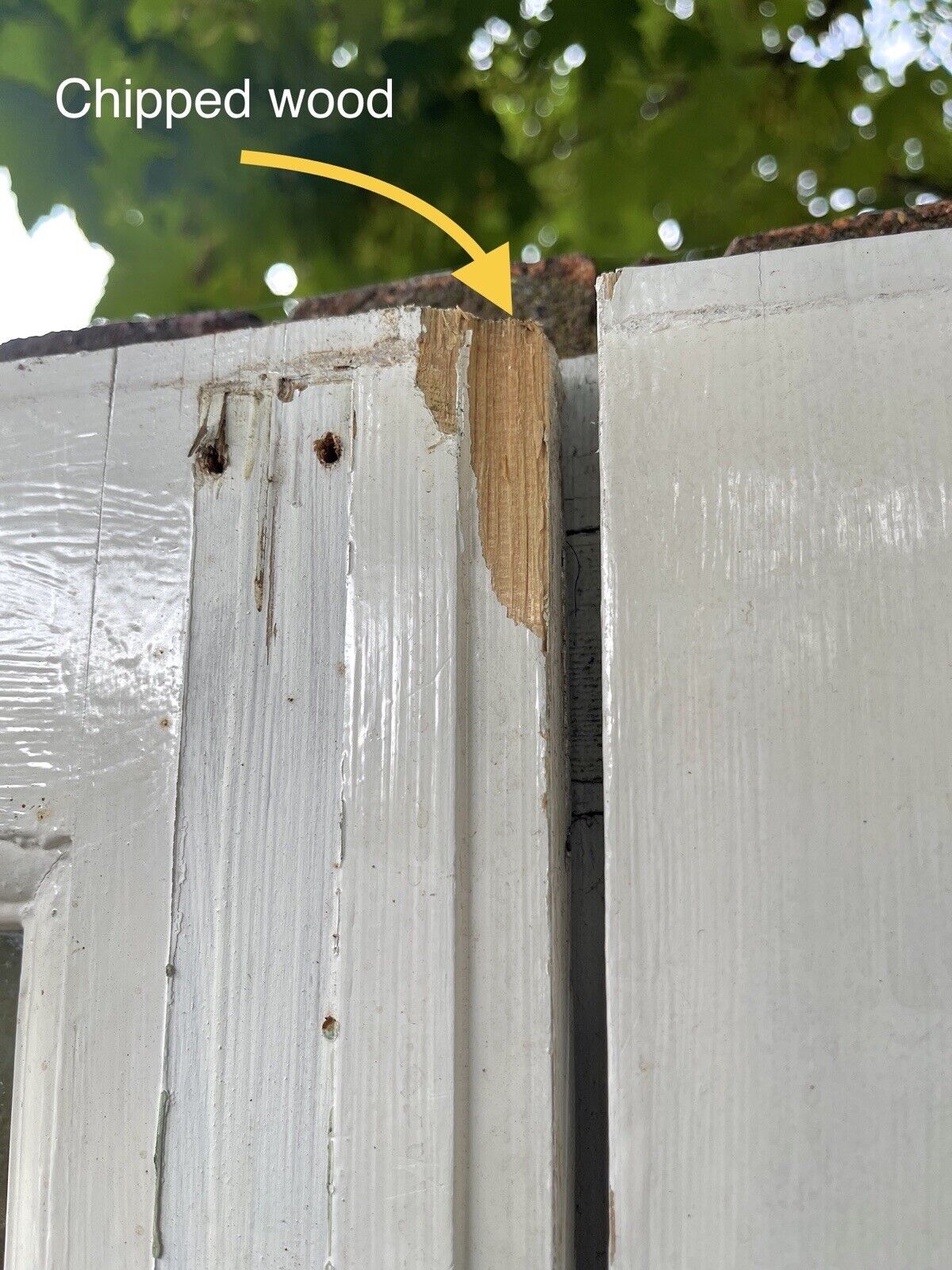 Reclaimed Old French Single Panel Glass Wooden Double Doors 1990mm x 1103mm